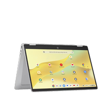 Chromebooks icon