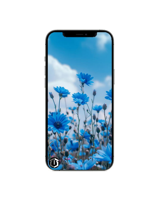 Apple iPhone 12 Pro 128GB 5G Battery 100% - Graphite (Good-Refurbished)