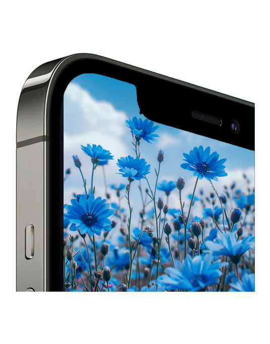 Apple iPhone 12 Pro 128GB 5G Battery 100% - Graphite
