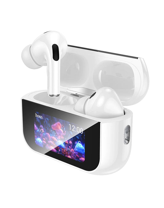 Hoco Earbud ANC Noise Cancelling, Touch Screen Case (EW79)