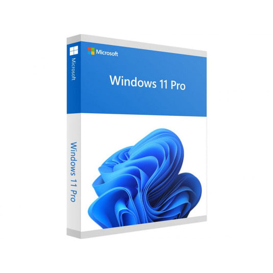 Windows 11 Professional Digital Key